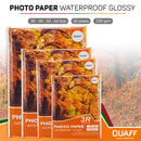 QUAFF Tree Type Photo Paper 230GSM